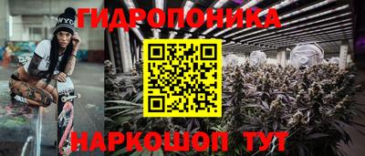 гашиш Новодвинск
