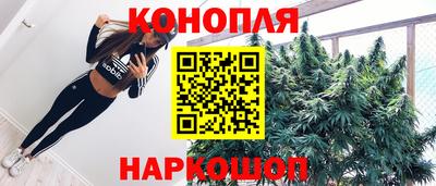 сатива Обнинск