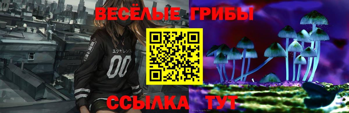 Галлюциногенные грибы Psilocybine cubensis Энгельс